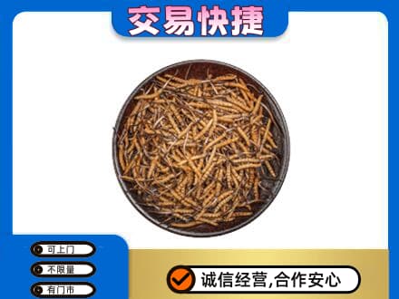 连云港灌南县回收散虫草